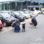 Renaultclub Dortmund 2013